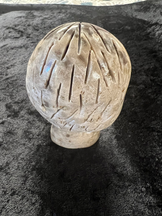 Petoskey Stone Mushroom
